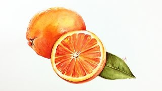 Watercolor Oranges Painting Demonstration