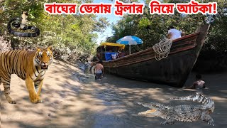 সুন্দরবনে বাঘের ডেরায় প্লেনের খানে ৫ ঘন্টা ট্রলার আটকে রয়েছি । সুন্দরবন ভ্রমণ । ইলিশ মাছ রান্না