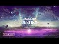 Shaggy Soldiers - Destiny [HQ Edit]