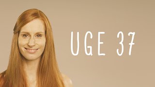 Graviditet uge 37