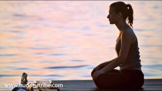 Insight Meditation: Calming and Relaxing Music for Mindfulness Exercises \u0026 Mindful Meditation