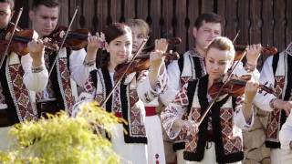 Ion Paladi - Bunicii cu vocea caldă (Orchestra \