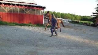 M4H01558.MP4