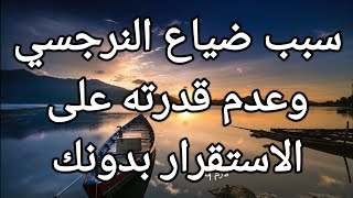 سبب ضياع النرجسي وعدم قدرته على الاستقرار بدونك