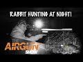 The Airgun Show | Night vision rabbit hunting| Reximex Accura airgun review