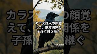 カラスは人の顔を覚えて敵対関係を子孫に引き継ぐ #雑学