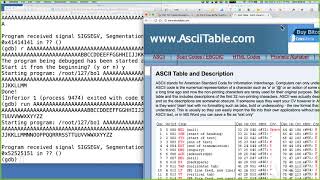 CNIT 127 Proj 3: Linux Buffer Overflow With Shellcode Demo