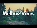 Mellow Vibes Lofi Mix | Chill and Study Music