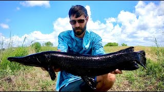 The RAREST FISH EVER CAUGHT ON VIDEO?!