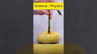 বিজ্ঞান ভিত্তিক জ্ঞান মূলক  ভিডিও | Hatura Bigganii | #science #expriment #knoledge #short #trending