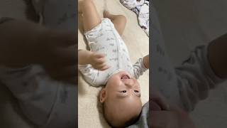 ママが省エネで遊んでも全力で喜んでくれる生後239日目赤ちゃん #赤ちゃん #baby #生後7ヶ月