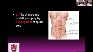 DR. SWAPNIL SONI, ANATOMY OF THE UMBILICUS