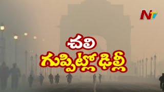 ఢిల్లీని వణికిస్తున్న చలి పులి | Delhi Records Coldest Season So Far | Ntv