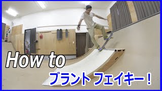 (ミニランプ中級トリック)ブラント フェイキー(blunt to fakie)のやり方。.mini ramp  . How to blunt to fakie.ステップ20