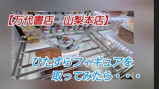 NO,47【万代書店山梨本店】　ひたすらフィギュアをやってみた結果・・・普通に取れてた😁