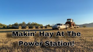 Makin’ Hay 2022 Part 3! | The Power Station | Kioti Tractor Vermeer Baler