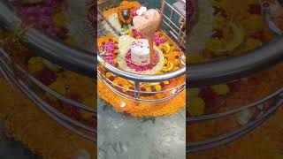 jai budheshwar mahadev