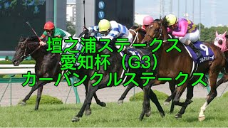 壇之浦ステークス 愛知杯（G3） カーバンクルステークス