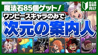 【魔法石85個ゲット！】ワンピースコラボキャラのみで次元の案内人攻略解説！初心者復帰勢必見！【パズドラ】