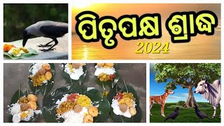 ଆମେ ମହାଳୟା ଶ୍ରାଦ୍ଧ କେମିତି ପାଳିଲୁ ? ଓଡ଼ିଶା ରେ ଏମିତି ବି ଶ୍ରାଦ୍ଧ ପାଳନ କରାଯାଏ l ପିତୃପକ୍ଷ ଶ୍ରାଦ୍ଧ ବିଧି