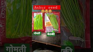 Ankur seed Lobiya #gomti#ketki #agriculture