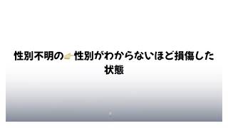 ニュースに隠された隠語、、、あの言葉にはこんな意味がある...みんなはいくつ知ってる？？