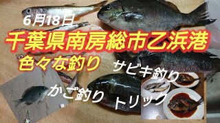 千葉県乙浜港で釣り