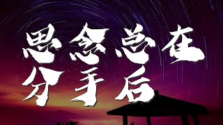 思念總在分手後 - 費玉清『想要瀟灑地揮一揮衣袖』【動態歌詞Lyrics】