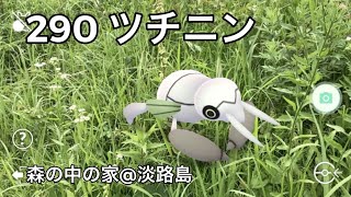 【ポケGO動くポケモンずかん】290ツチニン｜Nincada｜半夏生（はんげしょうず）｜七十二候｜第三十候｜姫女菀（ヒメジョオン）｜AR動画