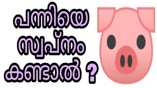 panniye swapnam kandal swapna vyakyanam malayalam islam islamic speech panni pig sihr koodothram