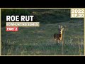 A GIANT COMES!!!💥 BOWHUNTING ROE DEER 💥 HUNTING ACTION 💥 CALLING ROE BUCKS during RUT [2020.EP20]