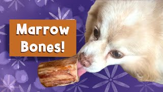 High-Protein Marrow Bones for Dogs – My Pup’s Honest Review