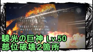 巨神と誓女 TH-60 驍光の巨神 Lv.50 部位2箇所破壊