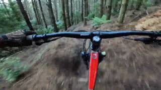 Screaming fun full trail MTB follow-cam. Tuteata @ Rotorua, New Zealand [4K]