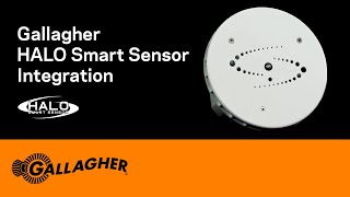 Gallagher HALO Smart Sensor Integration