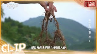 想吃美食先出力气！小小蕨菜就是美味的秘密《味道》20220326 | 美食中国 Tasty China