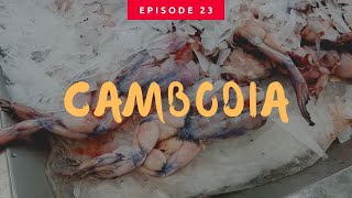 CAMBODIA 캄보디아 Shopping in MAKRO Cambodia ផ្សារម៉ាក្រូ 캄보디아 대형마트 마크로 쇼핑 생선 고기 생필품 캄보디아조남인