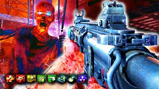 TRANZIT... BUT ITS INSANE!!! | Call Of Duty Black Ops 2 Zombies Tranzit EE Insane Mod + More!!!