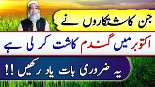 Instructions for wheat farmer for early sowing of wheat in October || Crop Reformer