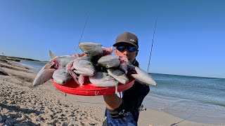 Great to fish at the Dawn! Fishing on WA Beach