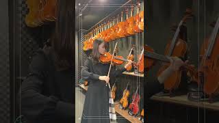 【試奏動画/Sold Out】Danilo Fiorentini Crema 2024 #violin #viola #cello #music #virtuoso #京都 #音楽 #shorts