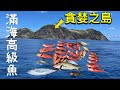 滿海每公斤破千元高級魚，鐵板下去就接殺！對路亞釣魚人來說此生必去之貪婪之島！!#赫馬士 #蘭嶼 #jigging #fishing  #海雞母 #花臉