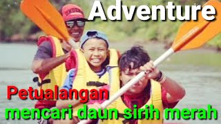 # Sirih # Adventure # Forest Adventure to the Forest Finding Red Betel Rain