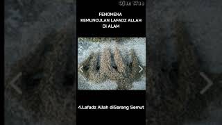 Fenomena Kemunculan Lafadz Allah | Kuasa Allah#shorts