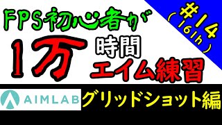 FPS初心者が10000時間エイム練習したら上達するのか?(161時間目)　AIM LAB