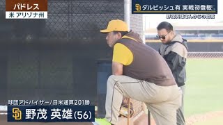 【2025MLB】キャンプの様子＃大谷翔平＃山本由伸＃佐々木朗希＃ダルビッシュ＃野茂英雄