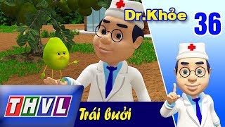 THVL | Dr. Khỏe – Tập 36: Trái bưởi – Phần 1