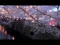 桜 目黒川 目黒新橋〜中目黒 4.7. 12：cherry blossoms meguro river tokyo