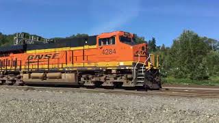 Railfanning in Seattle, WA 8/29/24 (ft. Metro Buses and School Bus 5926)