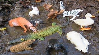 Muddy Zoo Animal Toys Getting Washed 🦓